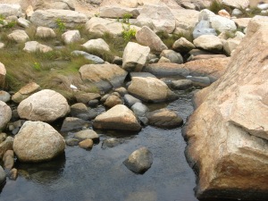Rocks in Still Water